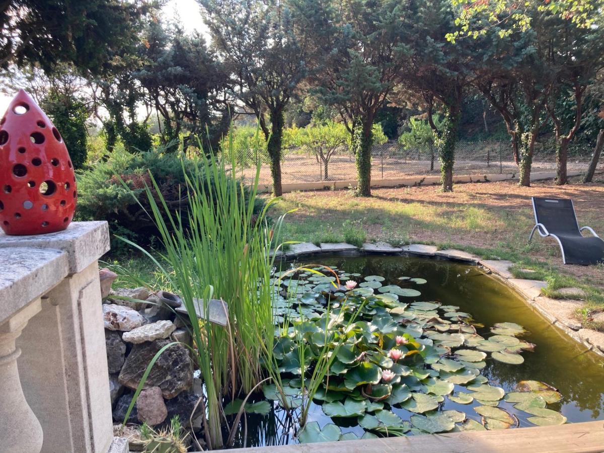Le Chene Et L'Eau Bed & Breakfast Roquebrune-sur-Argens Exterior photo