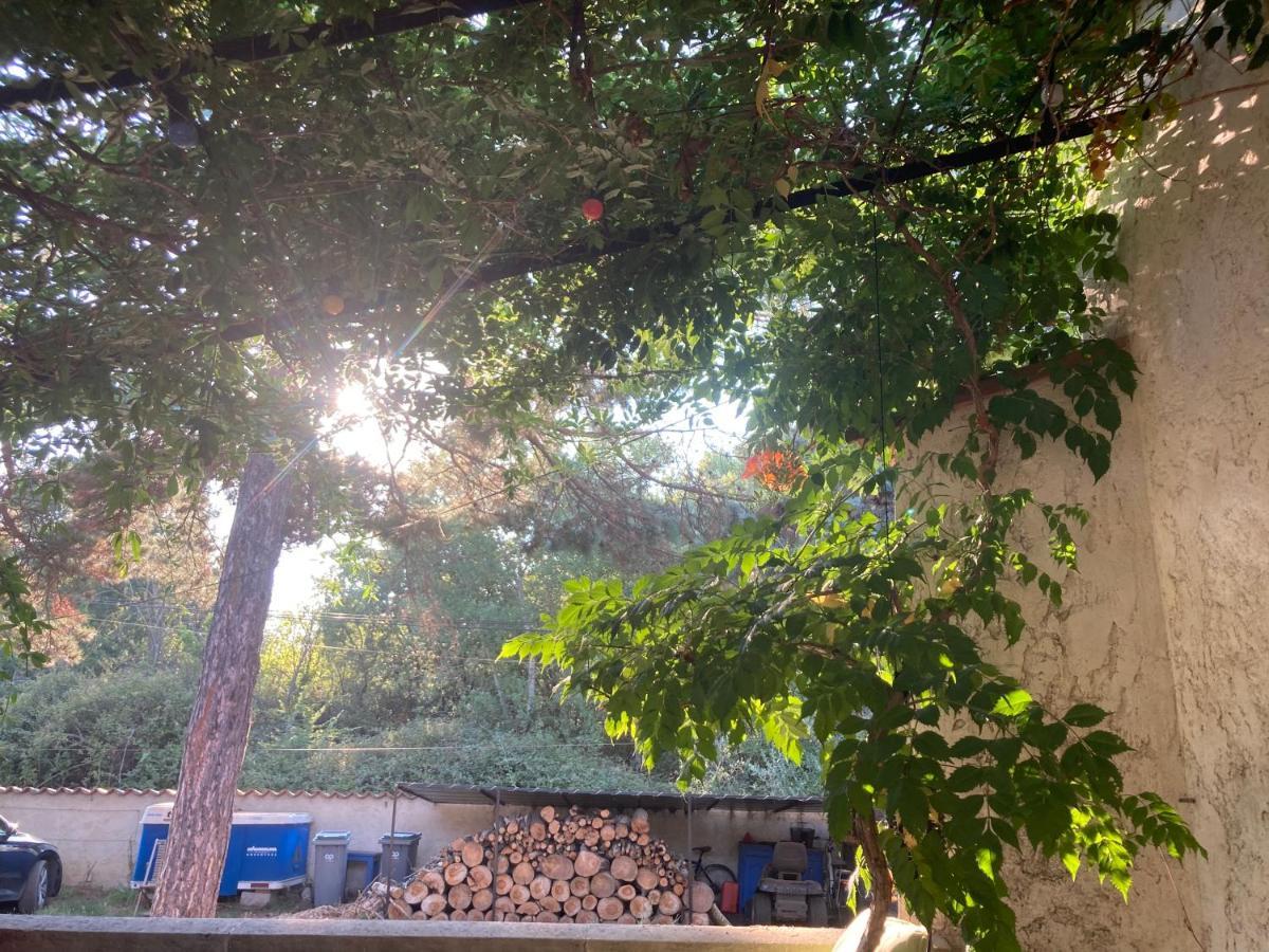 Le Chene Et L'Eau Bed & Breakfast Roquebrune-sur-Argens Exterior photo