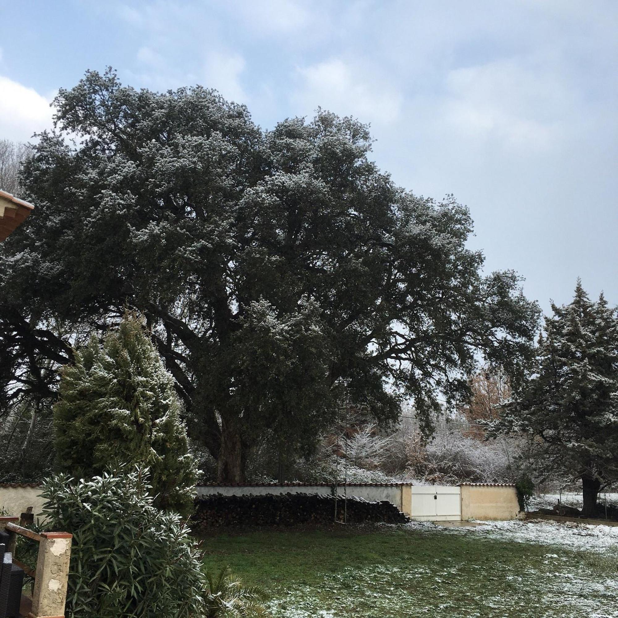 Le Chene Et L'Eau Bed & Breakfast Roquebrune-sur-Argens Exterior photo